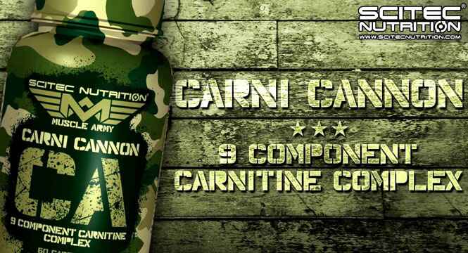 Informations Carni Cannon de Scitec Nutrition