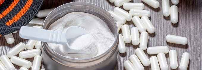 Leucine et construction musculaire