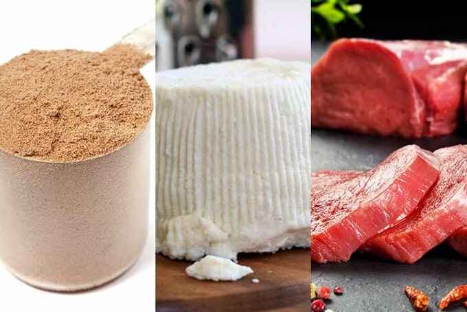 Les aliments riches en leucine